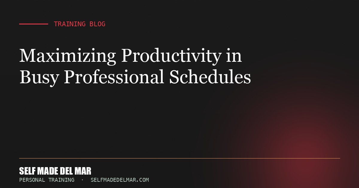 Maximizing Productivity in Busy Professional Schedules
